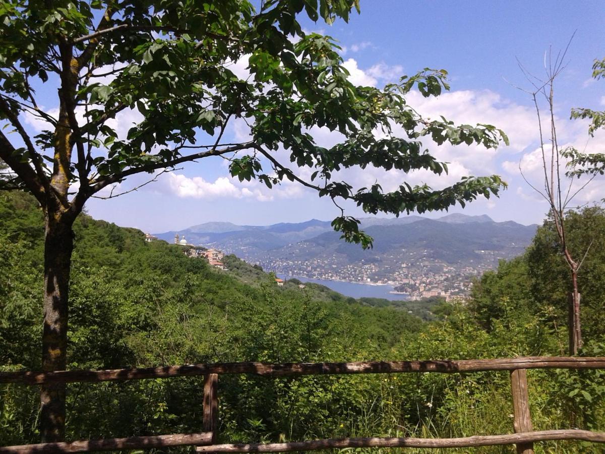B&B I Glicini Vescina Exterior photo